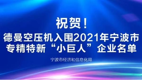 祝贺！91好色香蕉在线观看登榜2021年宁波专精特新“小巨人”企业